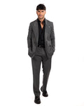 Adriano Langella - completo grigio