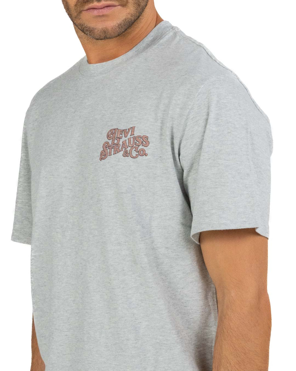 Levi's - T-shirt grigia con stampa